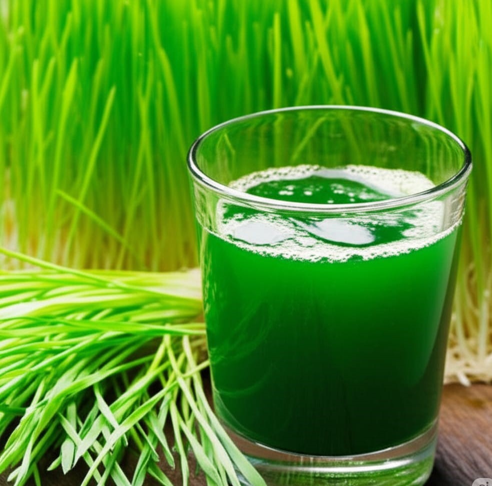 Wheatgrass Juice 